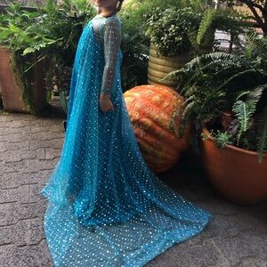 Beautiful Handmade Elsa Princess Dress size 5